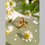 Flower Oval Transparent Red 18K Gold Anti Tarnish Free Size Ring Bulk