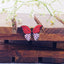 Butterfly Red Pink Gold Pendant For Women Bulk