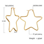 Star Flower Wire Hoop Siver 316L Stainless Steel 18K Gold Earring