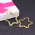 Star Flower Wire Hoop Siver 316L Stainless Steel 18K Gold Earring