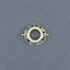 Round Abalone Gold Copper Charm For Women Bulk