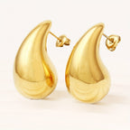 Paisley Mango 18K Gold Anti Tarnish Stud Earring For Women Bulk