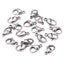 Silver Lobster Pack Of 2 Pcs